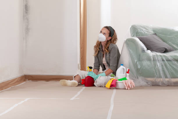 Reliable Black Mold Removal contractor in Mountlake Terrace, WA by WQB Mold Removal
